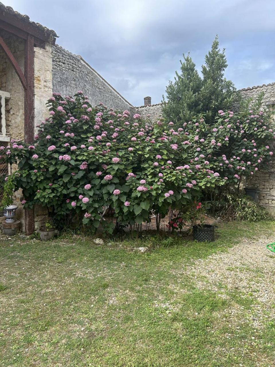 Chambres Et Table D'Hotes Maison Garesche Nieulle-sur-Seudre Esterno foto